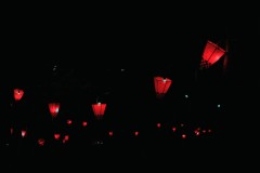 IMG_00262