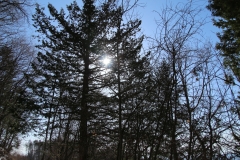 IMG_8467