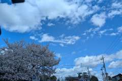 PXL_20250414_022339824.RAW-01.COVER_